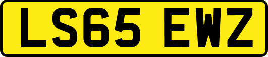 LS65EWZ