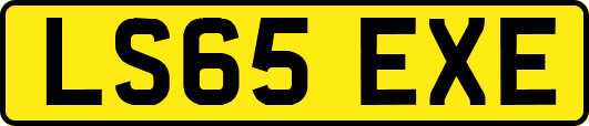 LS65EXE