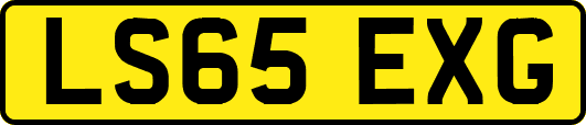 LS65EXG