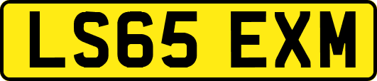 LS65EXM