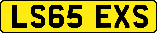 LS65EXS