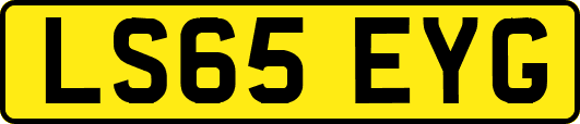 LS65EYG