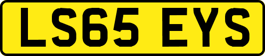 LS65EYS
