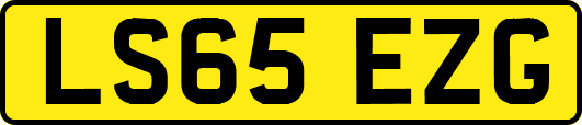LS65EZG