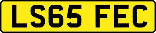LS65FEC