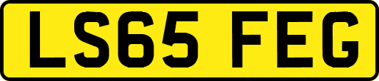 LS65FEG