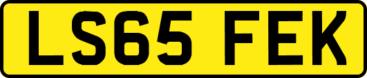 LS65FEK