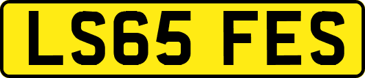 LS65FES