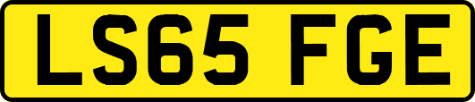 LS65FGE