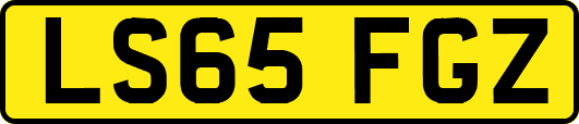 LS65FGZ