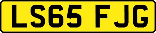 LS65FJG