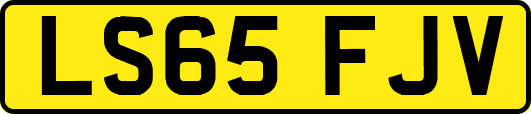LS65FJV