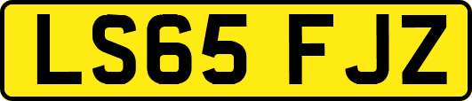 LS65FJZ