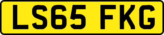 LS65FKG