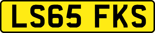 LS65FKS