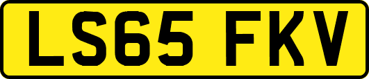 LS65FKV