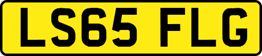 LS65FLG