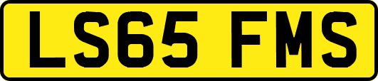 LS65FMS