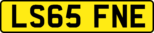 LS65FNE