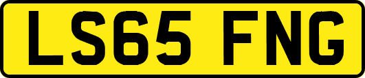 LS65FNG