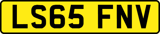 LS65FNV
