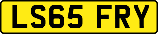 LS65FRY