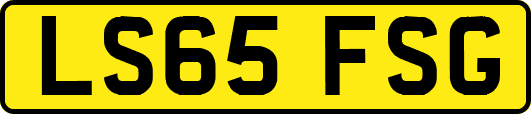 LS65FSG