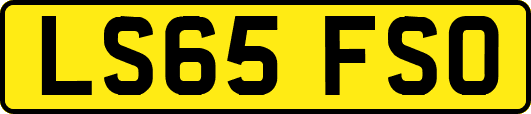 LS65FSO