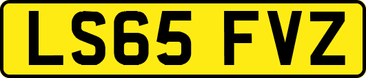 LS65FVZ