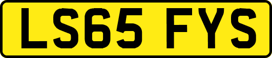 LS65FYS