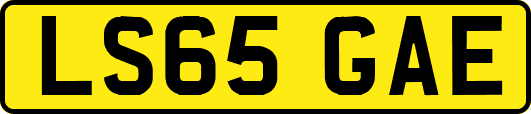 LS65GAE