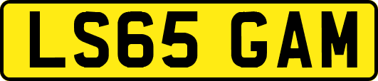 LS65GAM