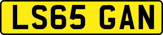LS65GAN