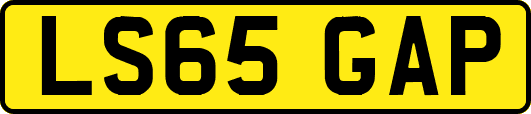 LS65GAP