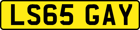 LS65GAY