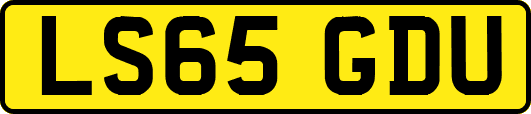 LS65GDU