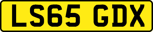 LS65GDX