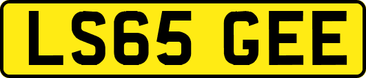 LS65GEE