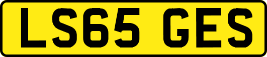 LS65GES