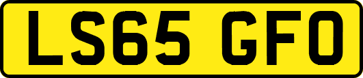 LS65GFO