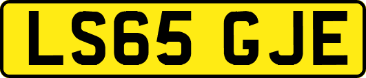 LS65GJE
