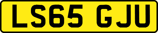 LS65GJU