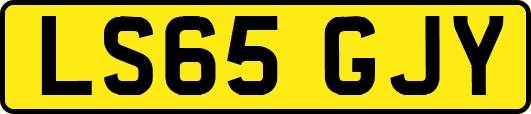 LS65GJY