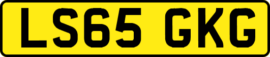 LS65GKG
