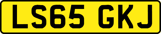 LS65GKJ