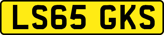 LS65GKS