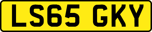 LS65GKY