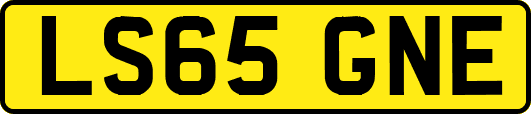 LS65GNE