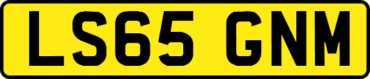 LS65GNM