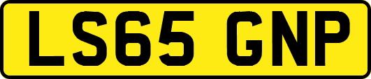 LS65GNP